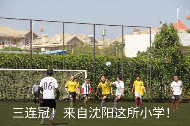 三连冠！来自沈阳这所小学！
